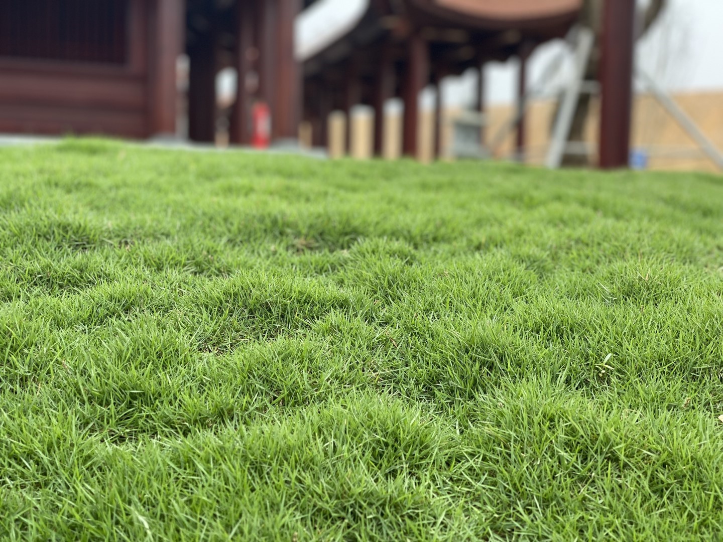 z4196943375799_68b5fe54b67bb81da990ee1137d6eb86