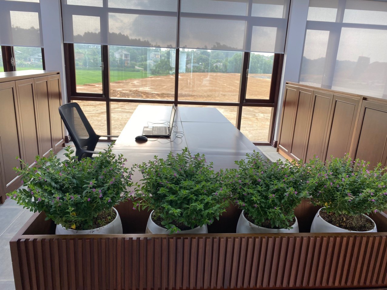 z5493611598753_b98b8ccbb8ee2509e4cdef7f5b66d0ba